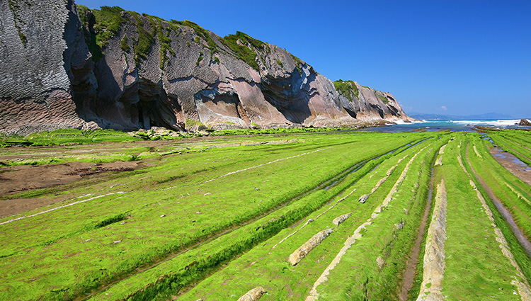Colours of the Zumaia Flysch.